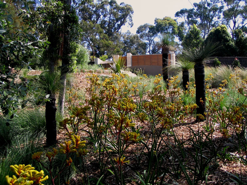 Harmony in Landscape Design Avalon Palm Beach Bayview Garden