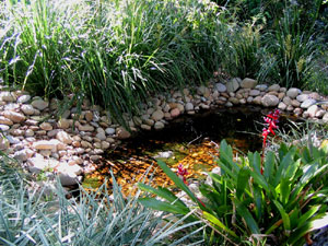 Harmony in Landscape Design Avalon Palm Beach Bayview Garden