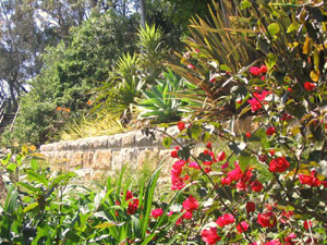 tropical garden landscape design palm beach