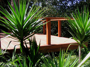 yucca feature landscaped garden design