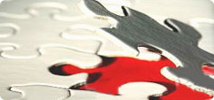 Northern Beaches Website Designers Sydney