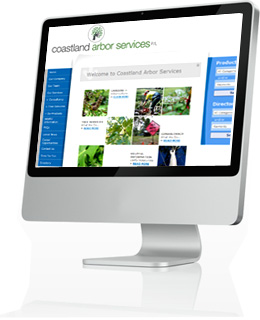 Free trial websites free domain name for life