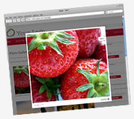 Add a lightbox photo gallery to my web site.