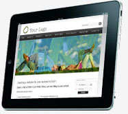 Slideshow photo gallery on your website.