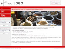 Click now to preview this template as a live website