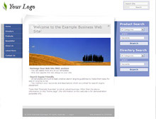 Click now to preview this template as a live website
