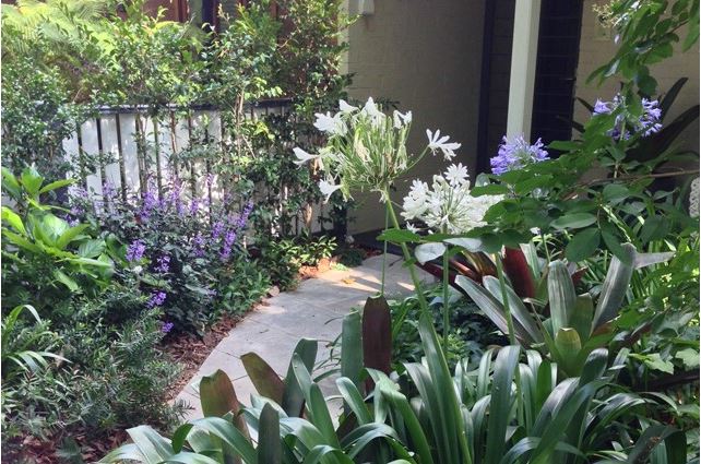 Lush front garden ideas - purple and white