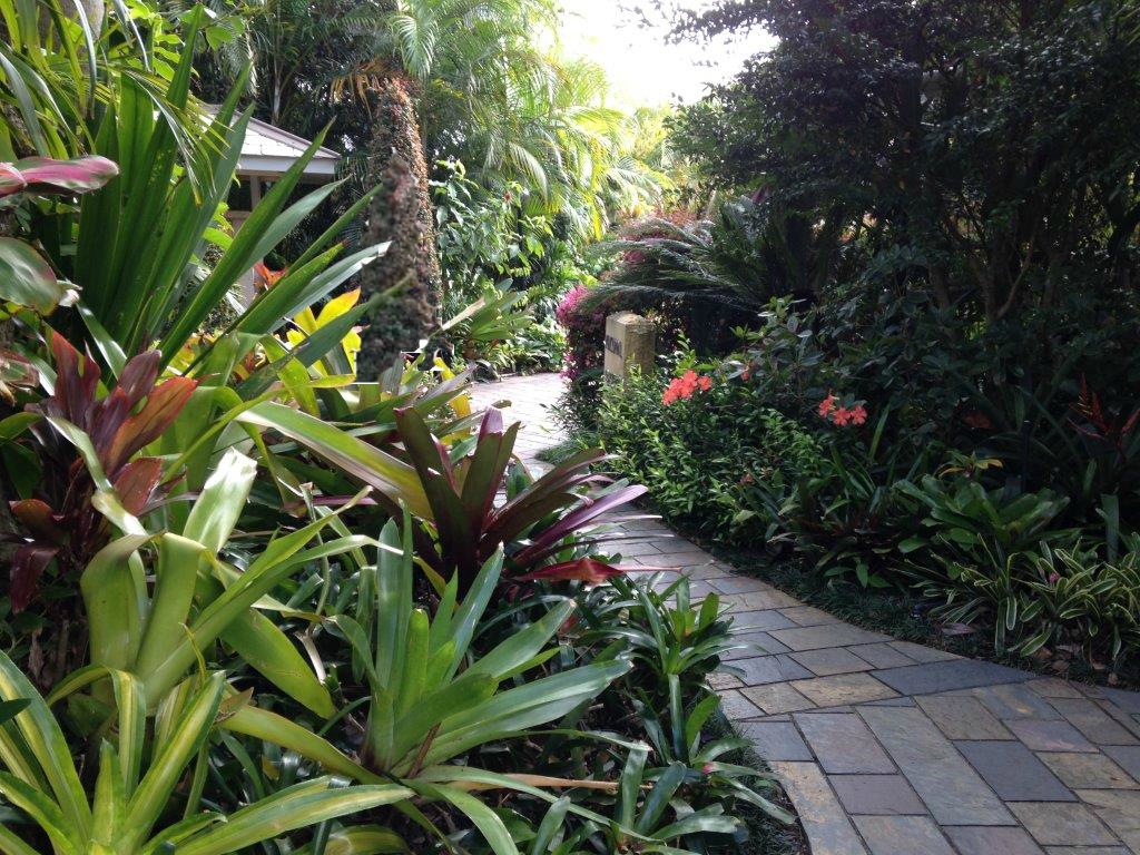 Meandering Garden Path