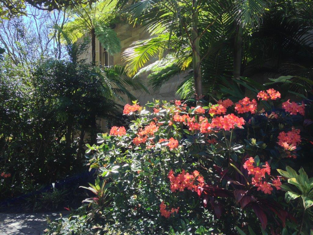 landscape design - subtropical garden with white walls