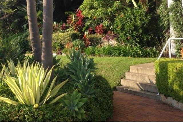 Garden steps in sub tropical garden