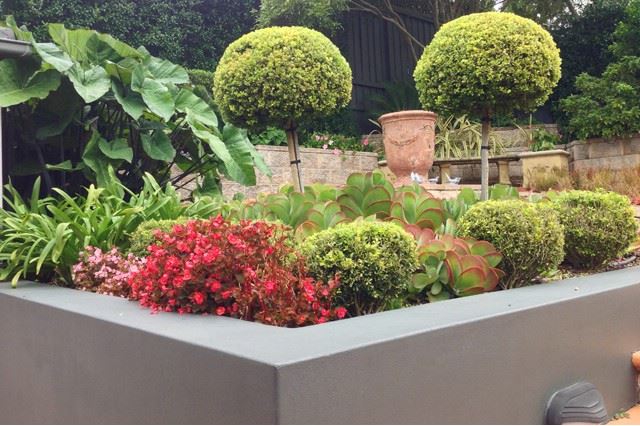 Raised flower bed with colour and form