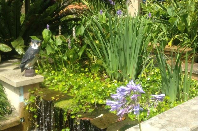 Sydney Landscapers Mosman Garden Pond Ideas