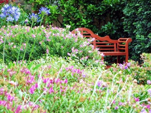 small garden ideas - with Lutyens style teak bench