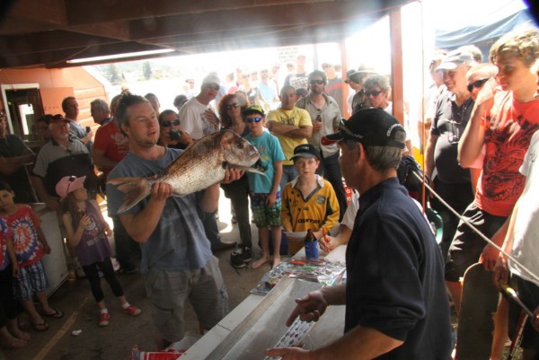 Snapper Comp 2011