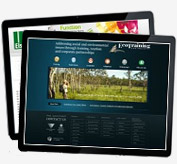 Custom website design