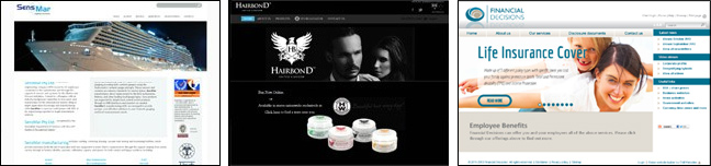 Customised Website Design and Construction by Chilli Websites