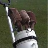 Accessories GOLFERS CLUB WEBBING BUGGY STRAP Walkerden Golf Australia